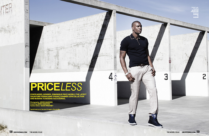 PRICELESS - DOMINIQUE PRICE