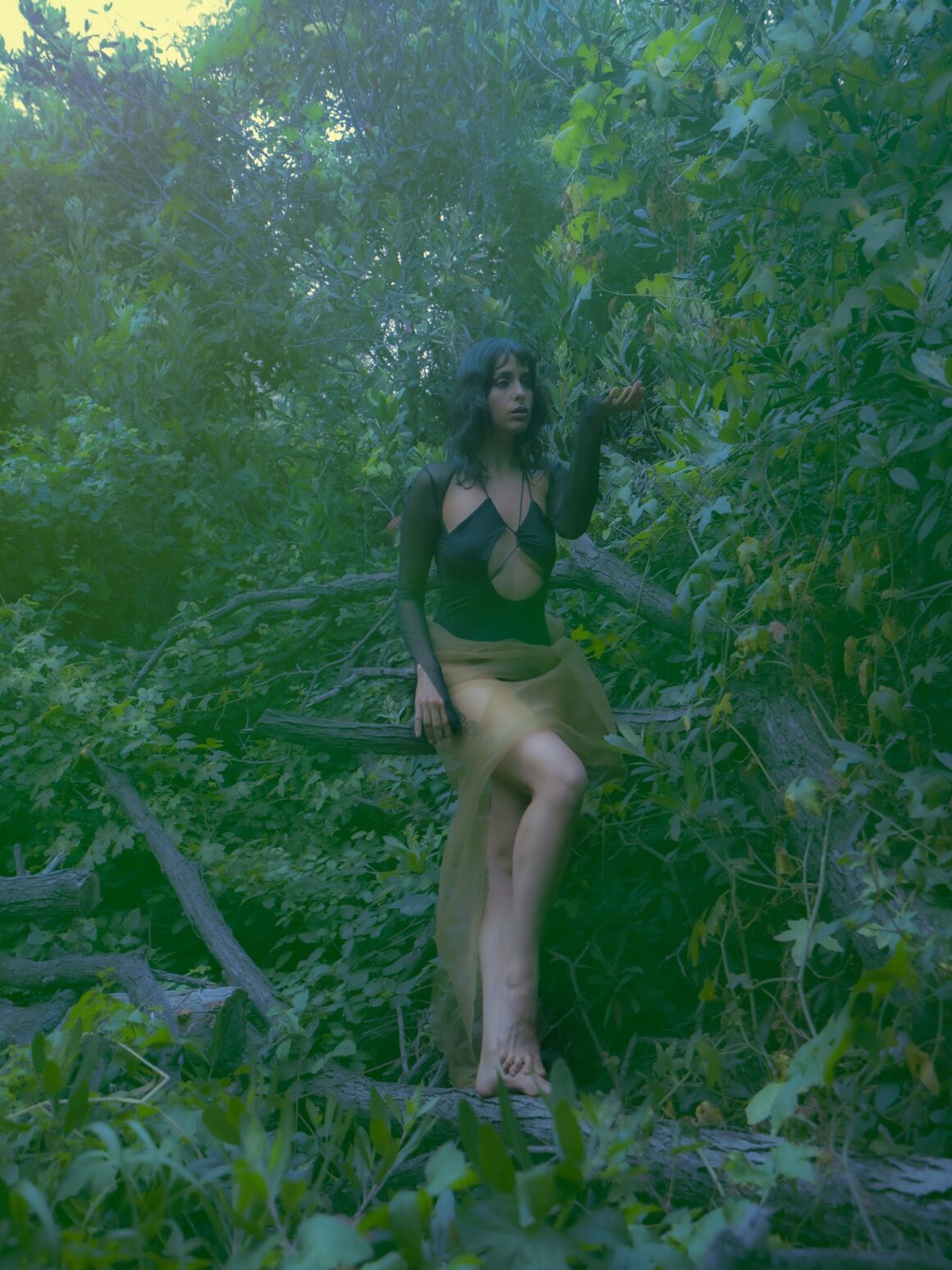 Aalok Bala – A Internal Expansion of Music • OBVIOUS Magazine Aalok Bala: A Internal Expansion of Music