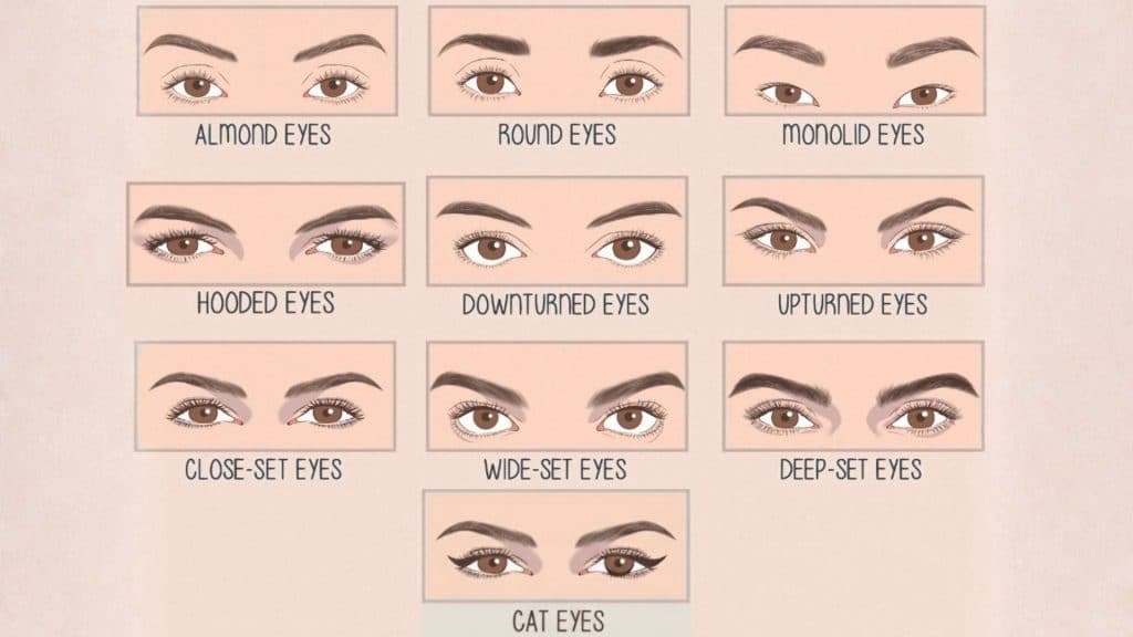 Eye Shape Names and Their Features - Obviousmag