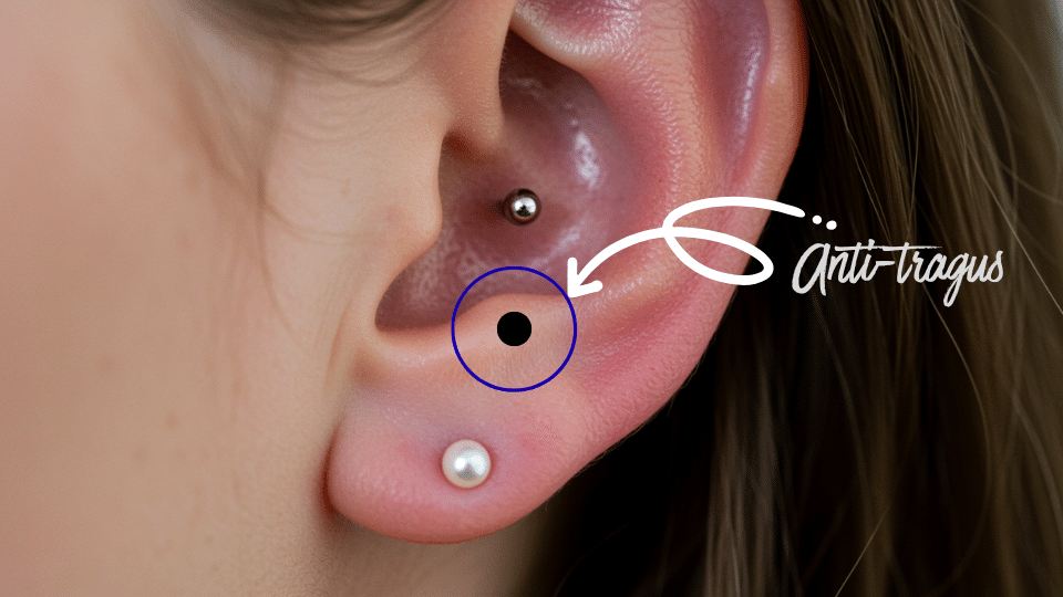 anti tragus