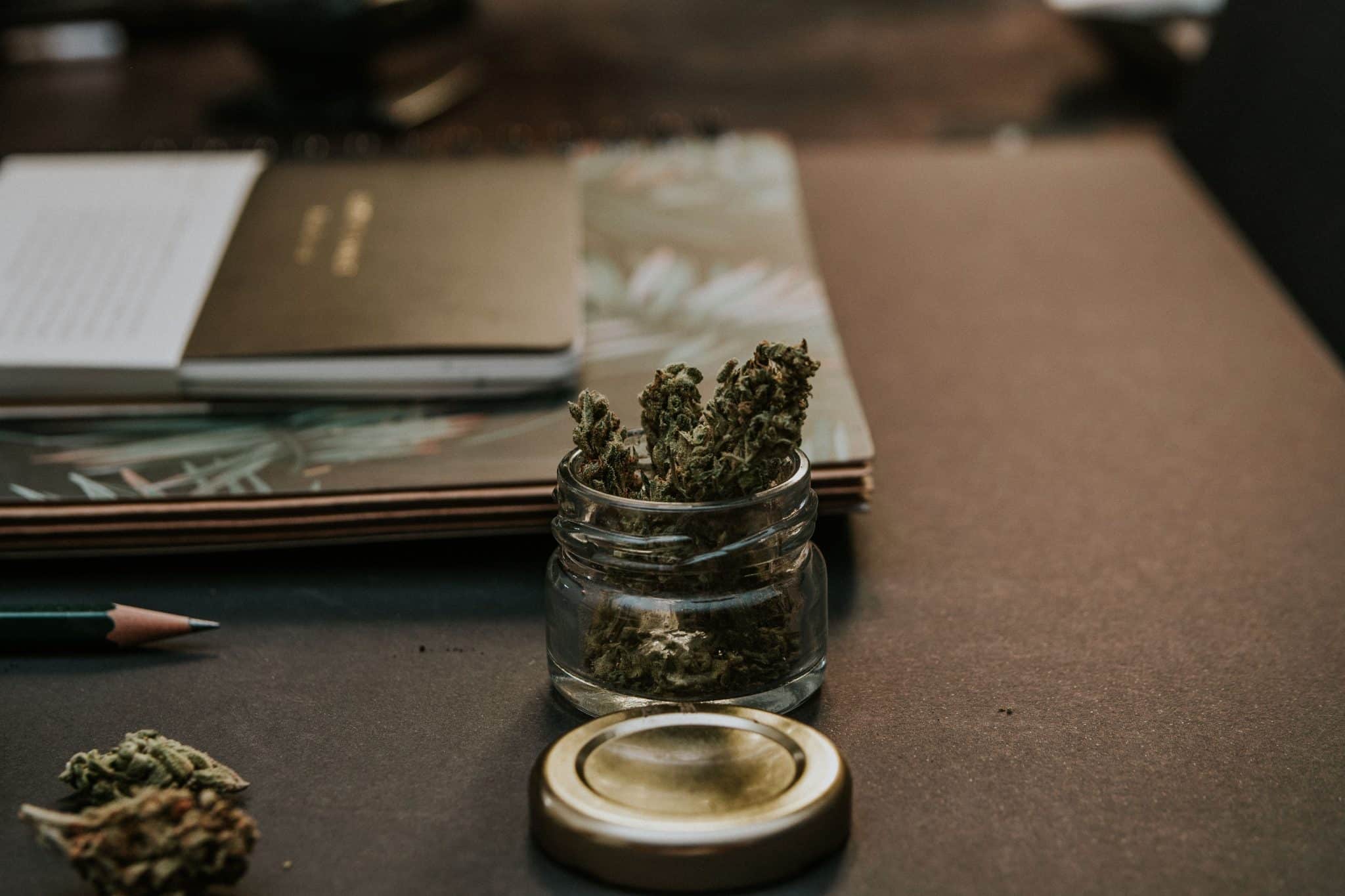 7 Best Ways to Buy Bulk Cannabis in Canada (2026)