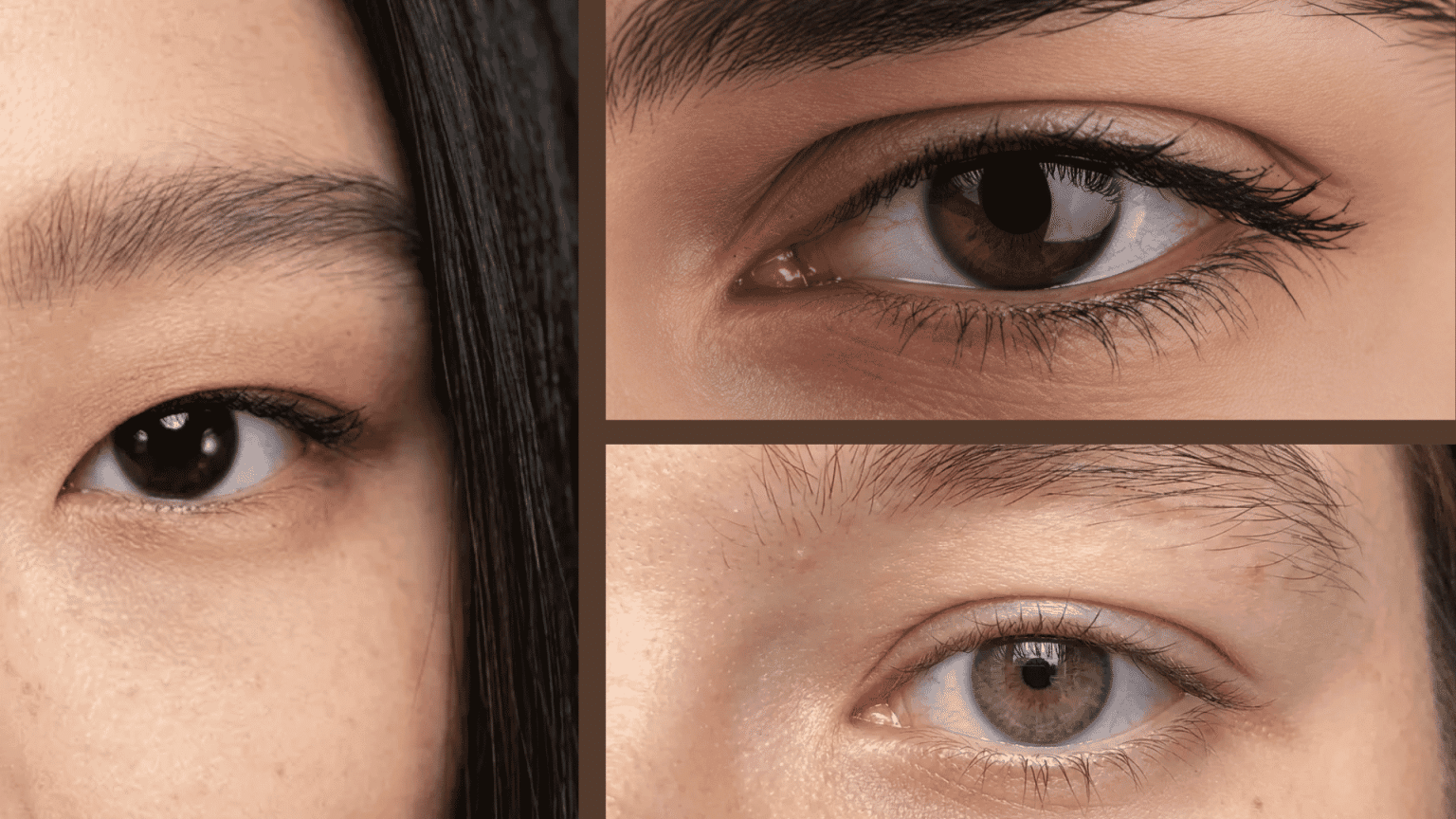 Three close-up eye images in a grid showing different types of eyelids
