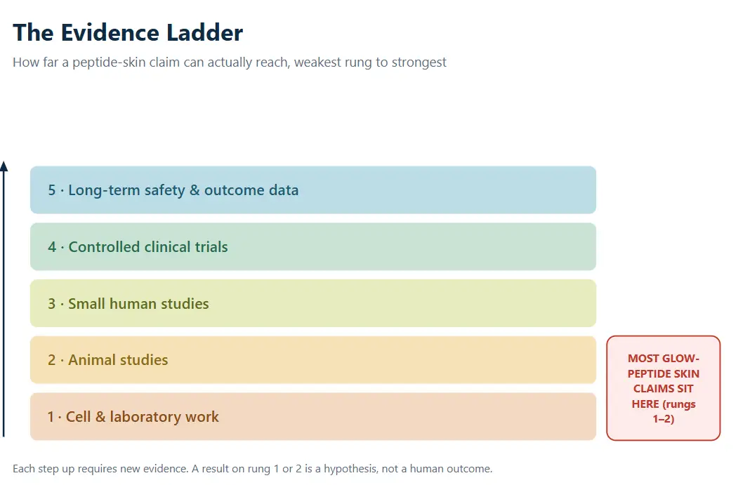 Color-coded evidence ladder chart showing progression from cell work to long-term safety data