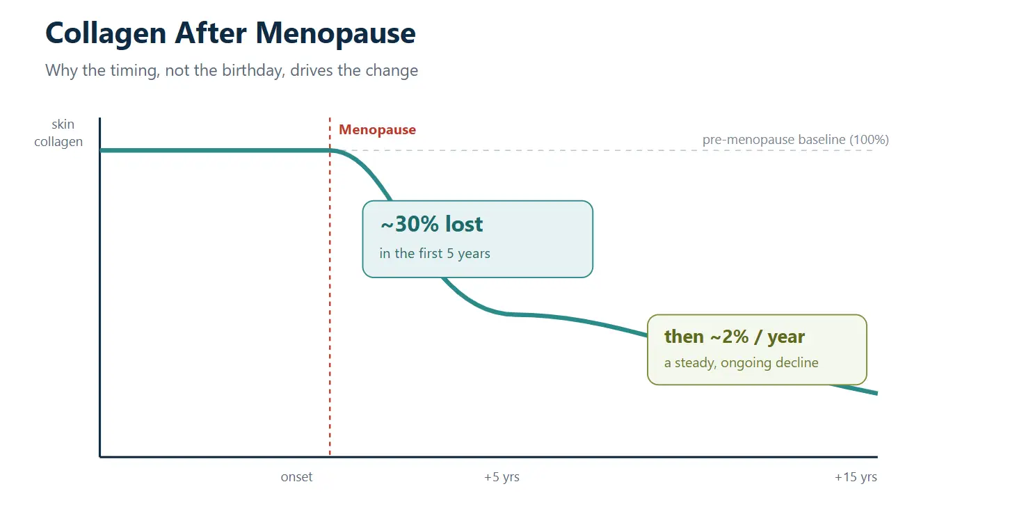 Line graph showing collagen decline after menopause, with key loss percentages over time