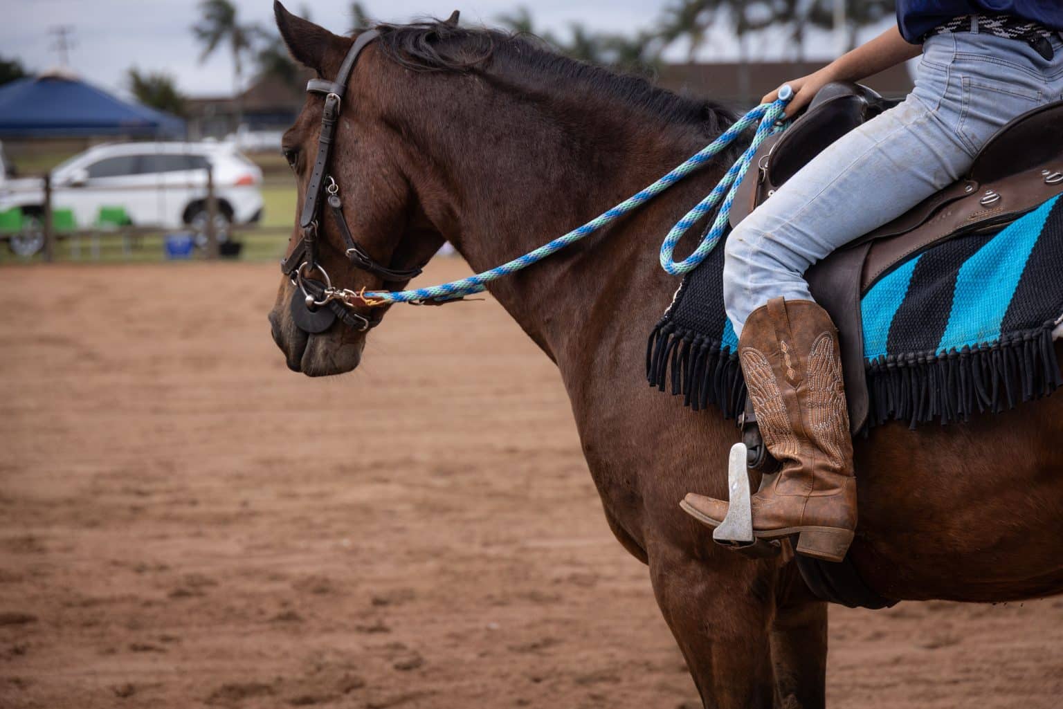 Top 5 Western Tack Stores Every Serious Rider Should Know