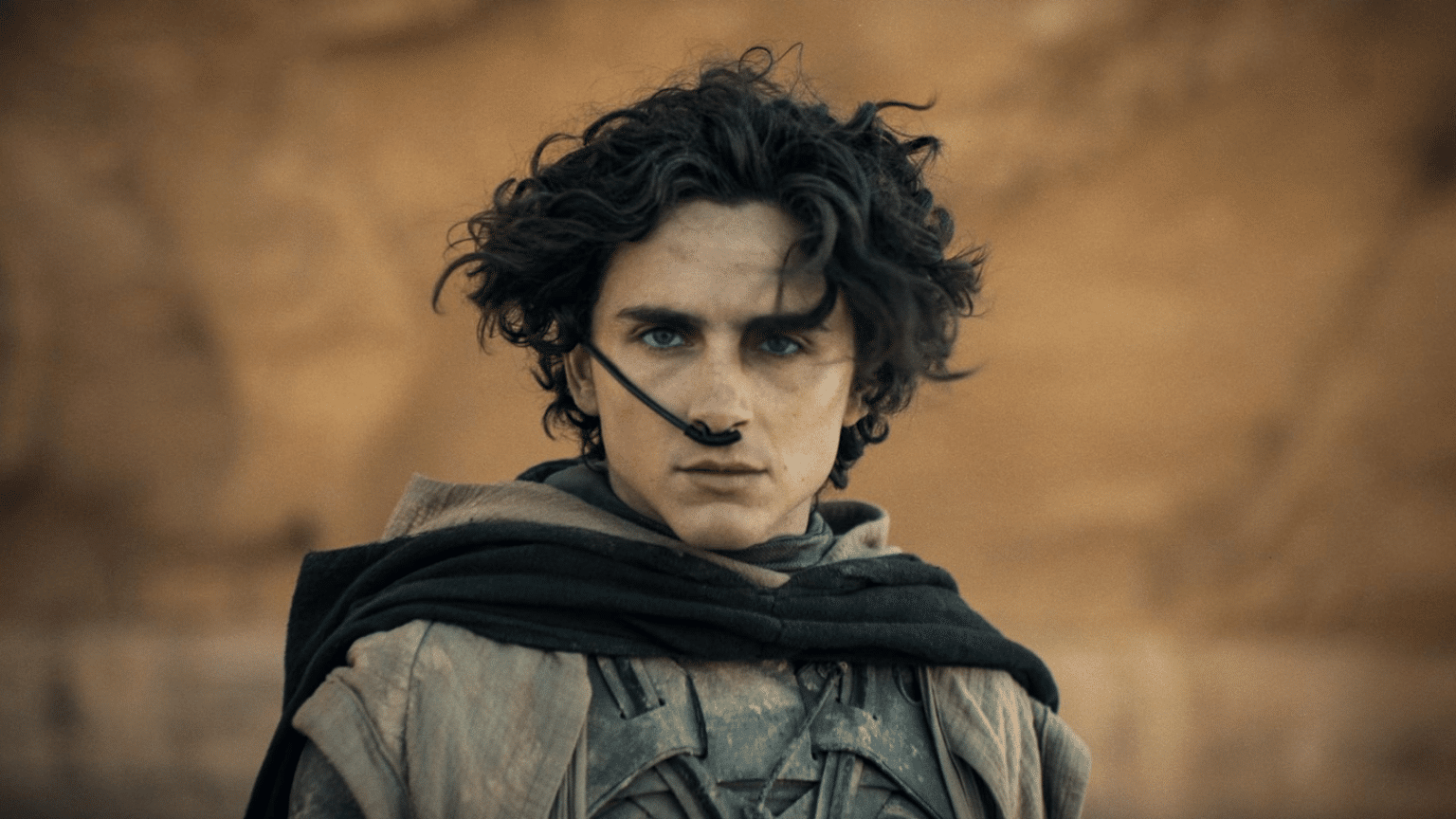 timothee-chalamet (1)