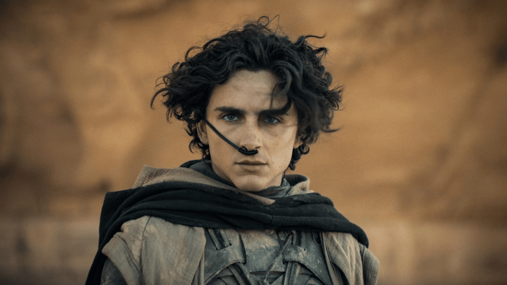 timothee-chalamet (1)