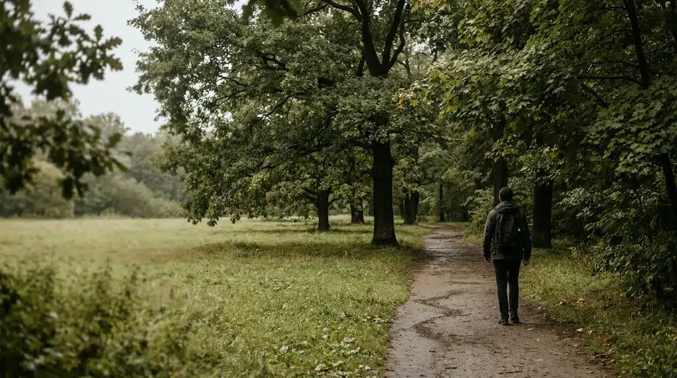 Person walking on a dirt path through a lush green forest