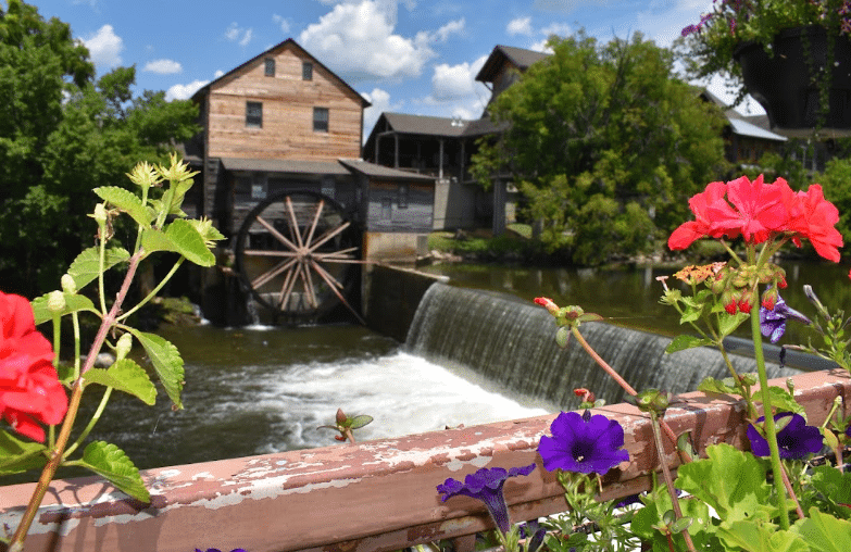 Old wooden watermill beside flowing river and vibrant flowers under blue sky