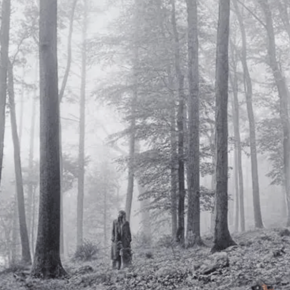 Folkloreโs misty woodland cover represents the best Taylor Swift album for fans of intimate indie-folk storytelling.