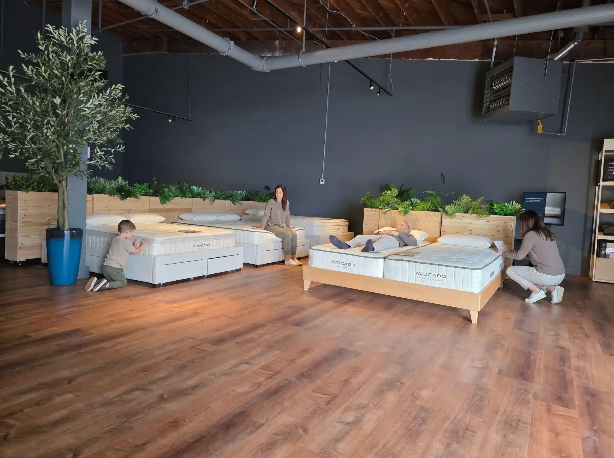 People interacting with mattresses in a showroom with wooden flooring and greenery accents
