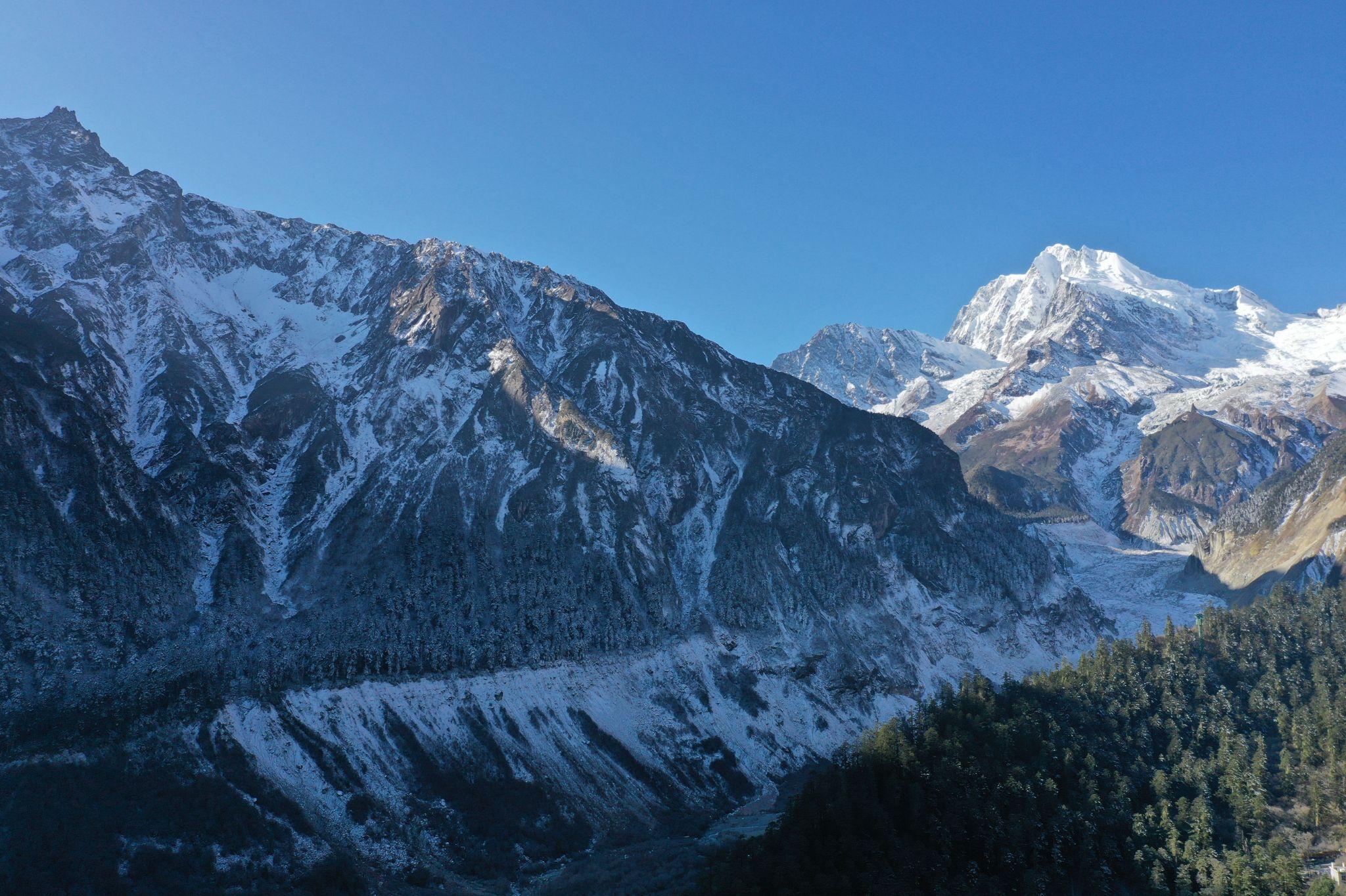 Snow-covered mountains under clear blue sky with forested foreground